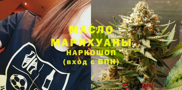 мет Алексин