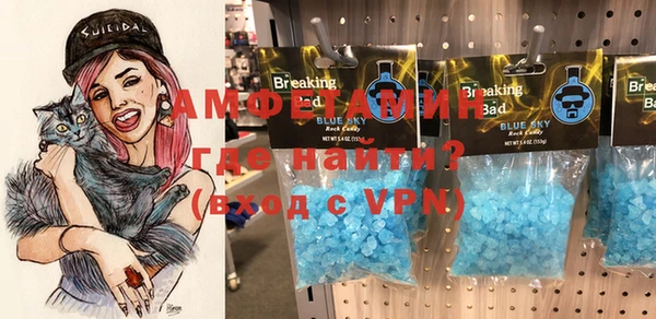 мет Алексин