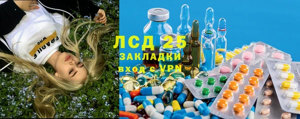 мет Алексин