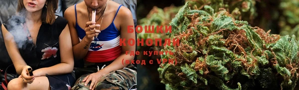 спайс Ладушкин