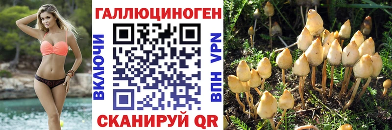 цены наркотик  Цимлянск  Псилоцибиновые грибы MAGIC MUSHROOMS 